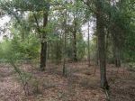 SE Pow Wow Lee, FL 32059 - Image 263369