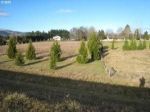 Willama Vista Pleasant Hill, OR 97455 - Image 54957