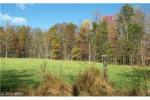 Spring Run Rd Wardensville, WV 26851 - Image 163273