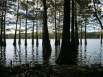 00 Jackson Point Rd Woodville, MS 39669 - Image 247517