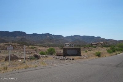0 Highlands Superior, AZ 85173