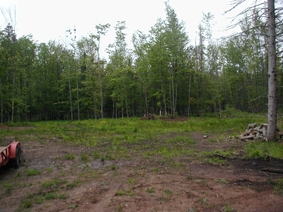 Lot B Sturgeon Rd Baraga, MI 49908