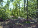Lot 24& 25 West Hollow Road Blossburg, PA 16912 - Image 1446795