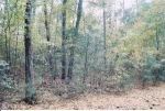 44460 MONTANA WAY Leonardtown, MD 20650 - Image 319249