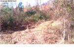 304 Fox Road Goodsprings, Tn 38460 Goodspring, TN 38460 - Image 1720072