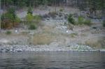 13561 S Lakeshore Rd Chelan, WA 98816 - Image 399921