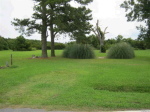 435 Goshen Road Engelhard, NC 27824 - Image 113325