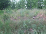 Lot 11 Finelli Avenue Crivitz, WI 54114 - Image 1337059