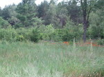 Lot 13 Finelli Avenue Crivitz, WI 54114 - Image 1085300