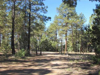 0 Forest Road 160 Chamisal, NM 87521