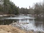 Near Knapp Rd Winter, WI 54896 - Image 165473