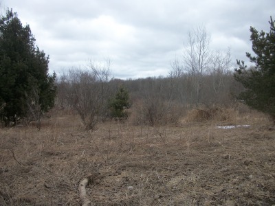 00 Murhpy Lake Silverwood, MI 48760
