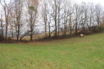 Lot B Peppers Fry Wytheville, VA 24382 - Image 1044789
