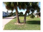 1240 Gardenia Drive Barefoot Bay, Fl 32976 Sebastian, FL 32976 - Image 247513