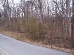 Melton Hill Drive Clinton, TN 37716 - Image 1083152