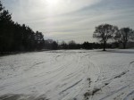 14407 Industrial Drive Kaleva, MI 49645 - Image 61327