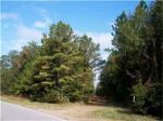 25 Ac FM 787 (2 Tracts) Saratoga, TX 77585 - Image 333213