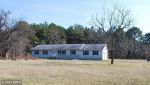 4026 PUNCH ISLAND RD Taylors Island, MD 21669 - Image 447325