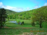 70 Wedge Loop Court Mills River, NC 28759 - Image 167773