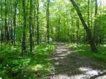 18027 Horn Lake Rd Townsend, WI 54175 - Image 417991