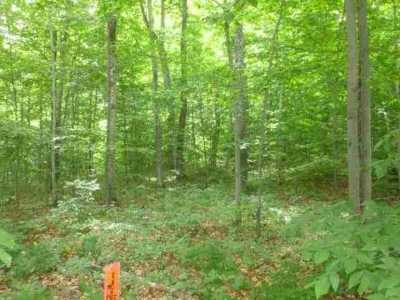4053 Oakwood Trail Petoskey, MI 49770