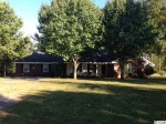 7288 Marsh Drive Conway, SC 29527 - Image 1175096