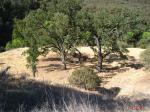 0 Nacimiento Lake Rd Paso Robles, CA 93446 - Image 239213
