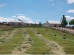 38958 Highway 92 Crawford, CO 81415 - Image 1234364