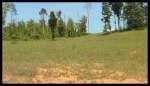 Lot 11 - Lot 11 Scenic Lakeview Dr Spring City, TN 37381 - Image 394131