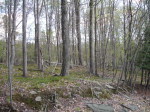 Lot 192b Evergreen Dr Greentown, PA 18426 - Image 1514047