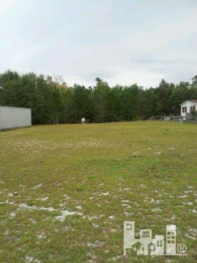 Lot 22 George Washington Hales Atkinson, NC 28421