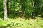 12 Vista Ridge Friendsville, MD 21531 - Image 218229