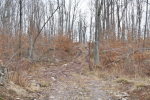 Lot 18 West Hollow Road Blossburg, PA 16912 - Image 1238048