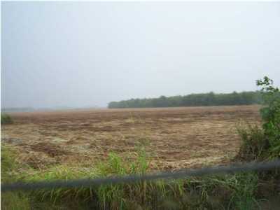 Hwy 103 Lawtell, LA 70550