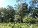 0 Carlin Rd Satsuma, FL 32148 - Image 325179