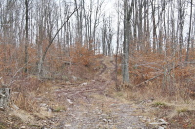 Lot 18 West Hollow Road Blossburg, PA 16912