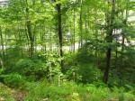 30 Crooked Mountain Road, Lincoln, 03251lot 17 Lincoln, NH 03251 - Image 56805