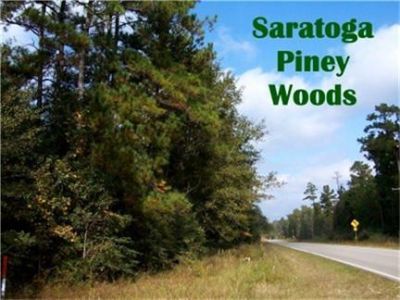 40 Ac FM 787 Saratoga, TX 77585