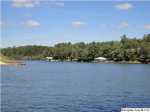 Lot 8 - Brookwater Pointe Wedowee, AL 36278 - Image 1787199