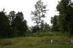 Lot 44 Davis Place Guntown, MS 38849 - Image 1241768