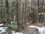 78 Hazzard Rd West Lot 2 Springfield, NH 03284 - Image 1818995