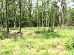 75 Conner Ln Greers Ferry, Ar 72067 Higden, AR 72067 - Image 1861847