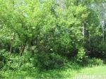 Lot 20 185th Avenue Hager City, WI 54014 - Image 1786235