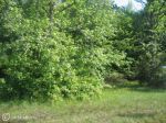 CENTER Leonardtown, MD 20650 - Image 1185068