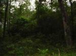 NE Chervil Drive Lee, FL 32059 - Image 263389