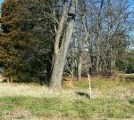 MERCER AVE Rock Hall, MD 21661 - Image 418019