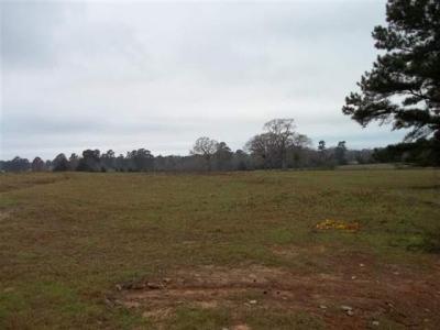 31 Acres Hwy 110 Troup, TX 75789