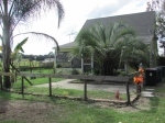 5257 Kelly Road Hastings, FL 32145 - Image 1091800