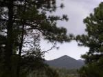 Lot 11 French Dr Alto, NM 88312 - Image 1186780
