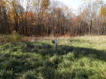 8 Evergreen Dr Mchenry, Md 21541 Mc Henry, MD 21541 - Image 1733980